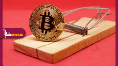 چطور از کلاهبرداری ارزهای دیجیتال در امان بمانیم؟