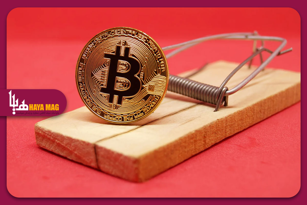 چطور از کلاهبرداری ارزهای دیجیتال در امان بمانیم؟